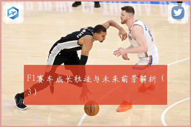 F1赛车成长轨迹与未来前景解析（3）