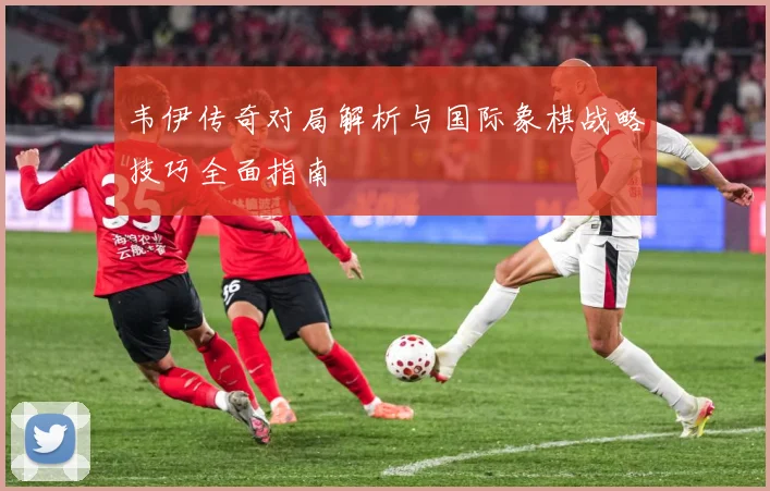 韦伊传奇对局解析与国际象棋战略技巧全面指南
