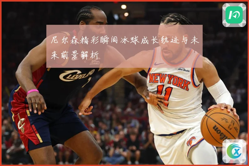 尼尔森精彩瞬间冰球成长轨迹与未来前景解析