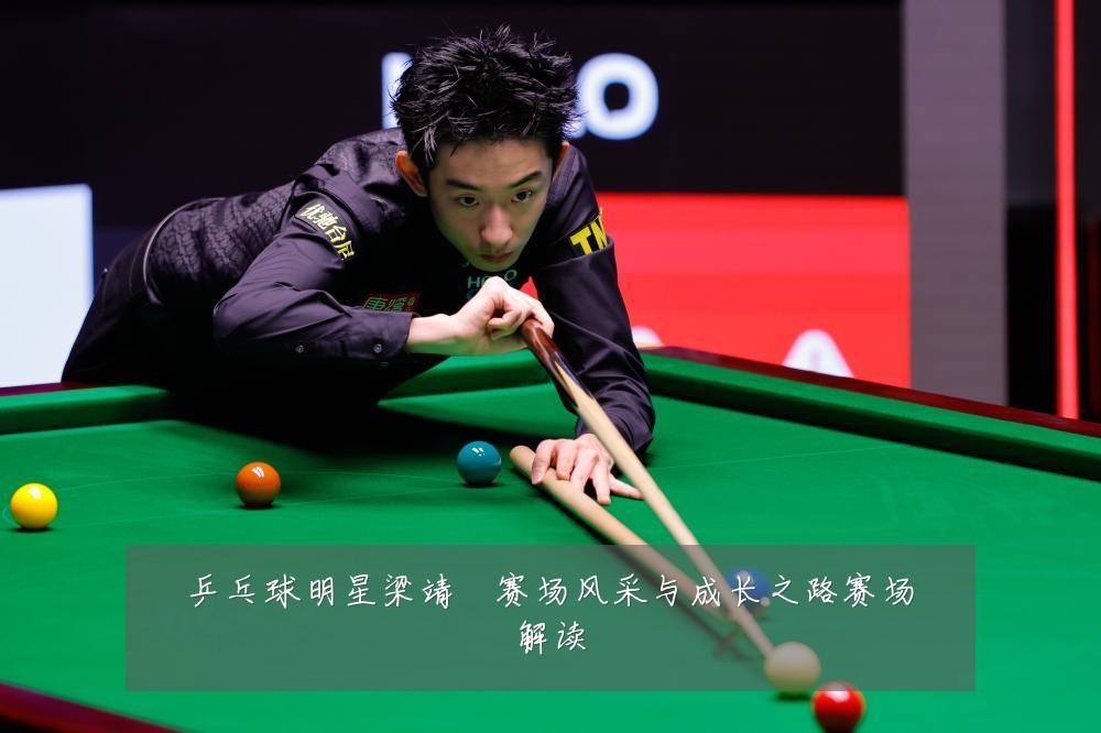 乒乓球明星梁靖崑赛场风采与成长之路赛场解读
