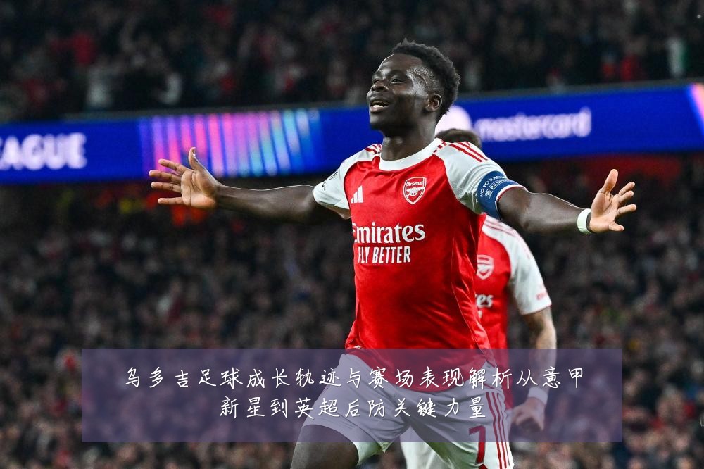 乌多吉足球成长轨迹与赛场表现解析从意甲新星到英超后防关键力量
