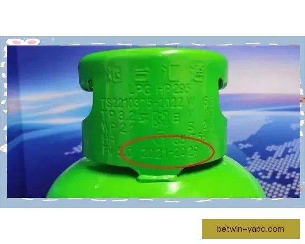 2026世界杯竞猜入口全面指南带你掌握赛事预测技巧