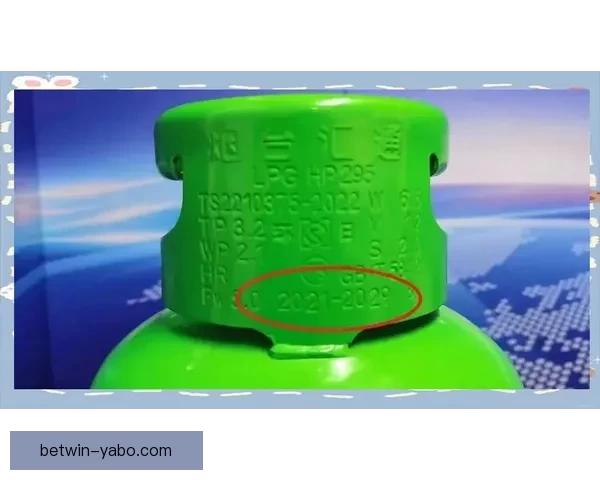 2026世界杯竞猜入口全面指南带你掌握赛事预测技巧